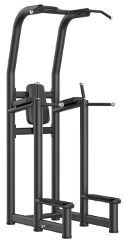 Подтягивание/отжимание/поднятие коленей Smith RE6008