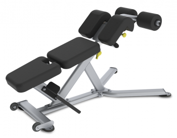 Скамья для пресса и разгибания спины True FS-22