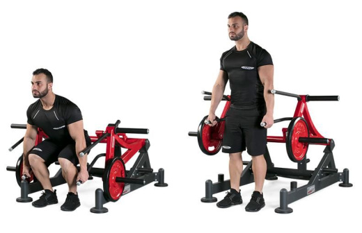 Становая тяга / Выпады Panatta 1HP590 - фото 2