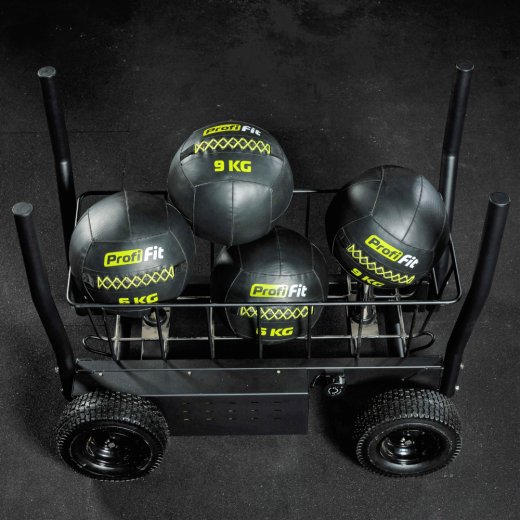 Сани-тележка для функционального тренинга (Тренажер Tank) DHZ - фото 4