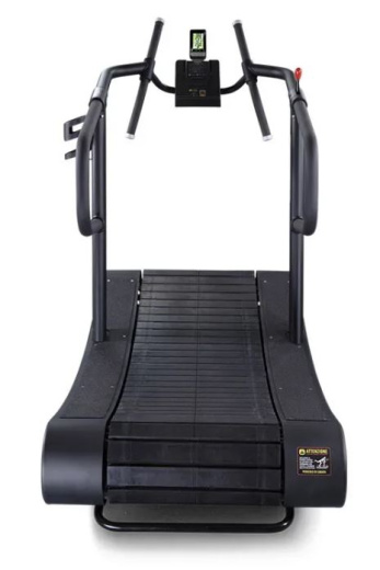 Беговая дорожка Panatta Ecoracer 1CF71 - фото 2