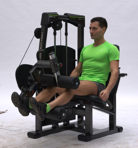 Сгибание ног сидя Nessfit FW-1600 - фото 4