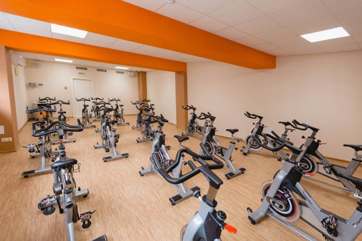 Cайкл-тренажер Impulse PS300E - фото 13