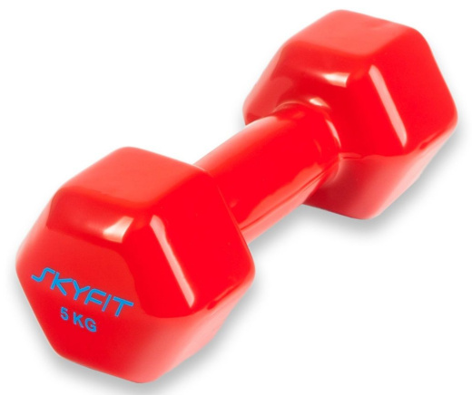 Гантель SkyFit в виниловой оболочке 5 кг