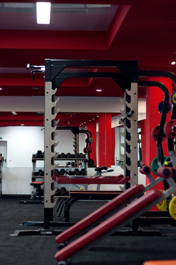 Силовая рама повышенной прочности для жимов и приседов с опцией для хранения дисков Impulse SL7009+SL7009OPT - фото 3