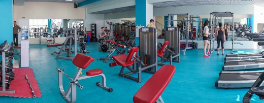 Парта для бицепса (Скамья Скотта) Impulse IFSPC - фото 3