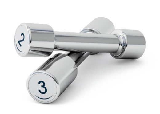 Гантели 2 кг Panatta 1DM2