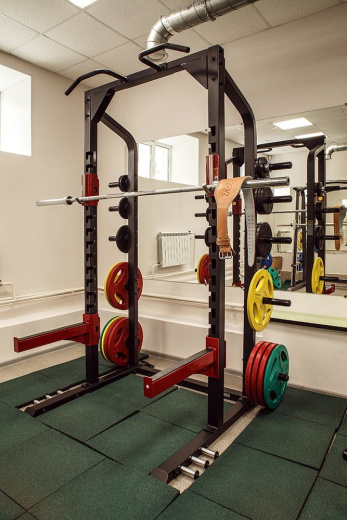 Частичная силовая стойка Impulse SL7014 - фото 3