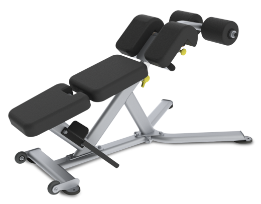 Скамья для пресса и разгибания спины True FS-22 - фото 1