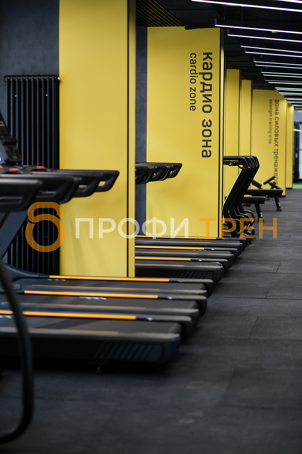 Фитнес-клуб «No Excuses»