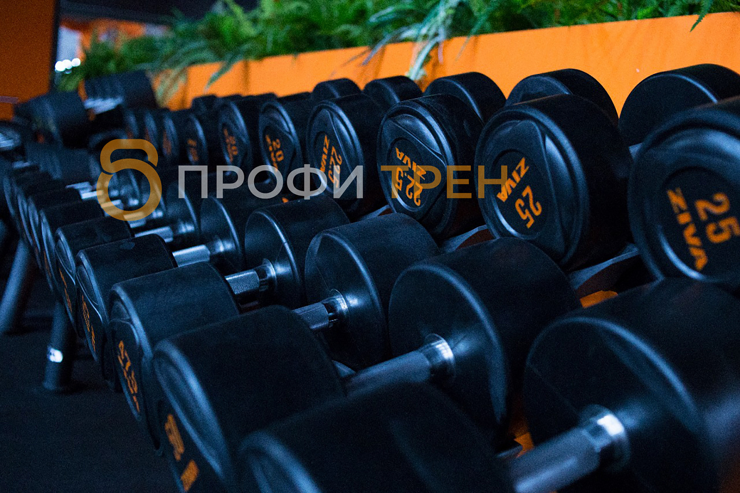 Спортивный клуб «Боец»