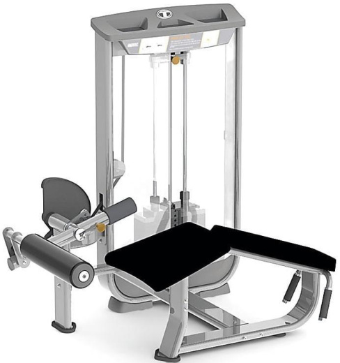 Сгибание ног лежа Inotec NL16