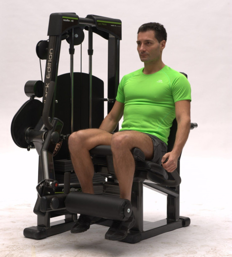 Разгибание ног Nessfit FW-1000 - фото 4