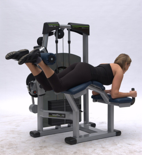 Сгибание ног лежа Nessfit FW-1500 - фото 4