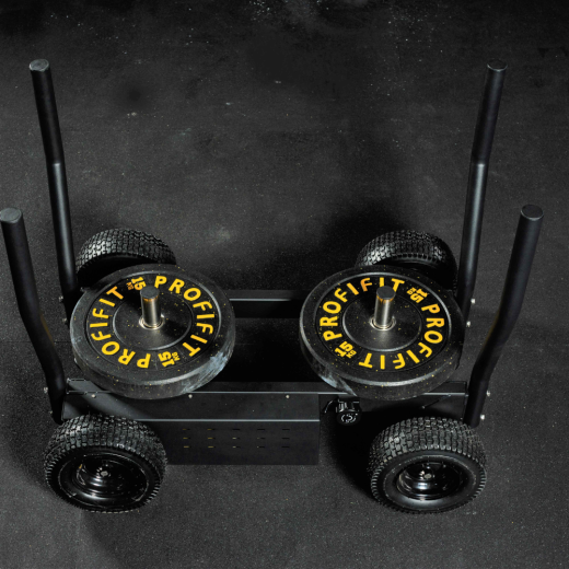 Сани-тележка для функционального тренинга (Тренажер Tank) DHZ - фото 2