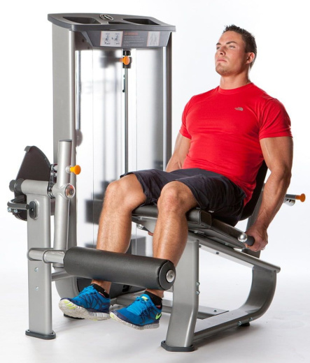 Разгибание ног Inotec NL5 - фото 4