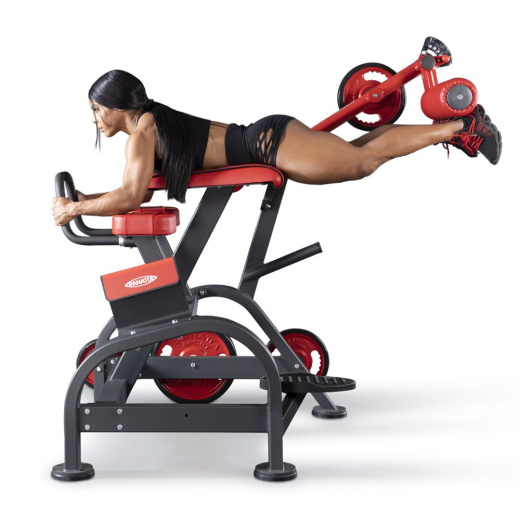 Обратная гиперэкстензия Panatta 1FW096 - фото 2