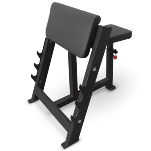 Скамья Скотта Bronze Gym AL-303