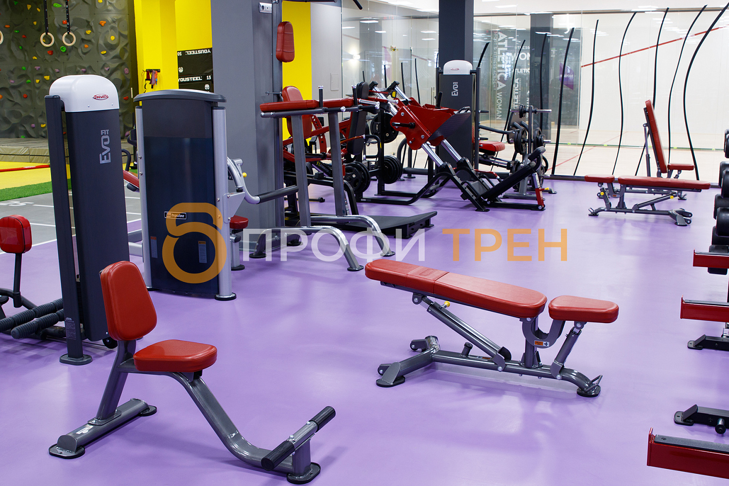 Фитнес-центр «Atletica» Sport&Fitness Academy
