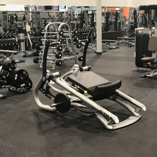 Тренажер для разгибания всего тела True SC1000 - фото 5