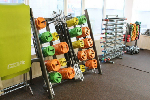 Штанга для аэробики Profi-Fit 20090, обрезиненные диски (1,25 кг; 2,5 кг; 5 кг) по 2шт - фото 2