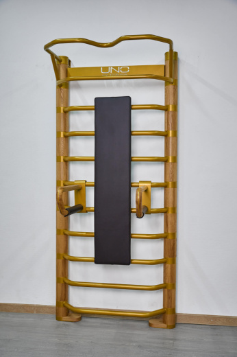 Cкамья для пресса UNO Torso Uno Estetico UN-1203 - фото 2