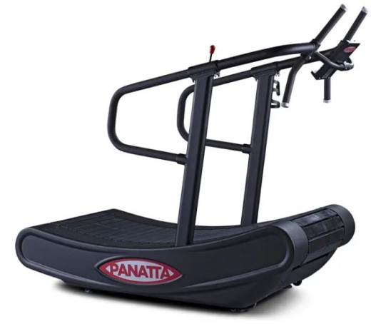 Беговая дорожка Panatta Ecoracer 1CF71 - фото 4