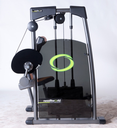 Сгибание/разгибание спины Nessfit FW-3500 - фото 2