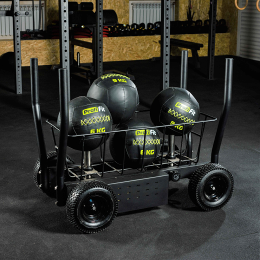 Сани-тележка для функционального тренинга (Тренажер Tank) DHZ - фото 5