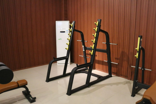 Стойка для приседаний с ограничителями DHZ E-1050В - фото 2