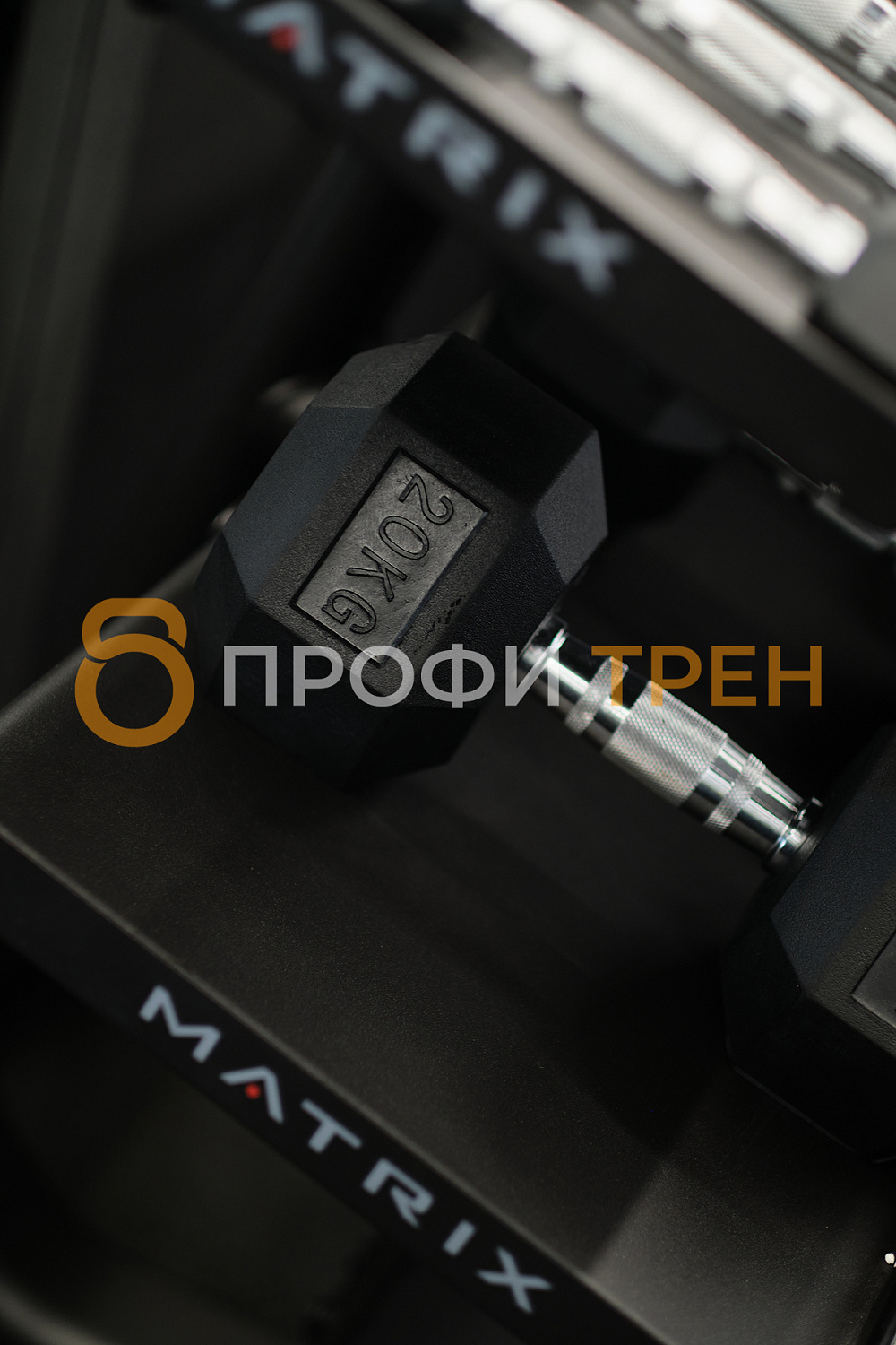 Фитнес-клуб «No Excuses»