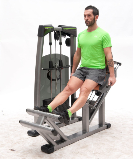 Икроножные сидя Nessfit FW-1800 - фото 4