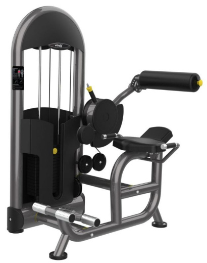 Разгибатель спины Fitex Pro Performance FTX-6217