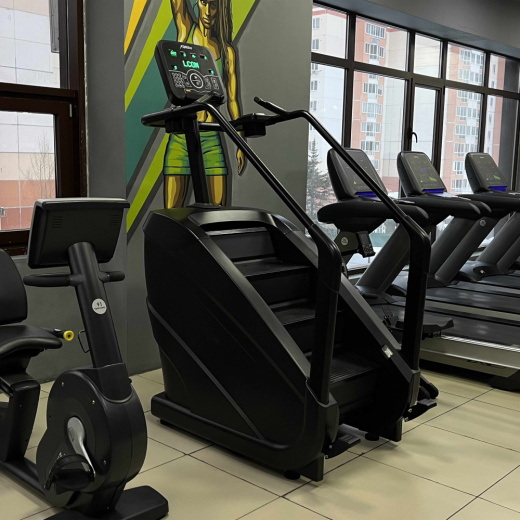 Лестница-эскалатор DHZ D8900 - фото 6